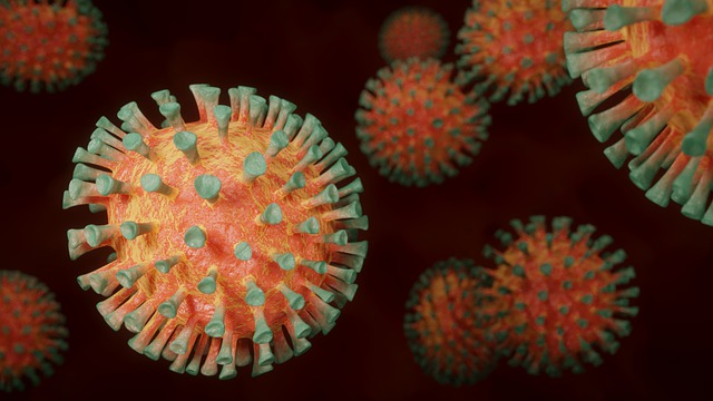 obrázek koronavirů